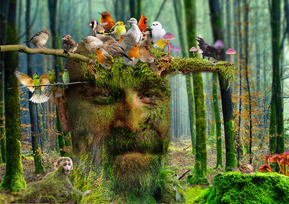 homme dans la foret avec des oiseaux sur la tete